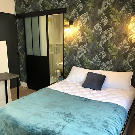 Duplex Cosy Hyper Centre * שולה